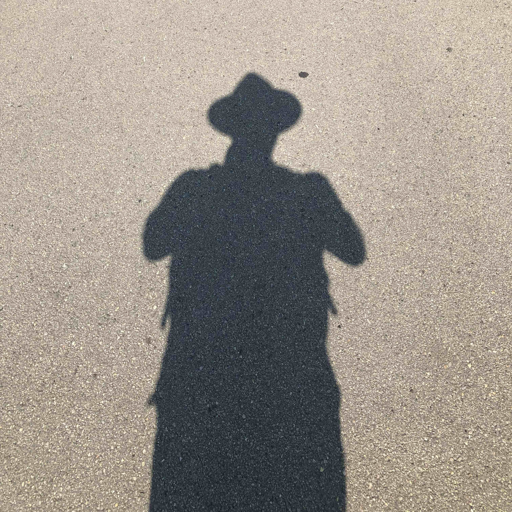 Dr. Friedemann Bringt Qualitäts und Berufsbildentwicklung