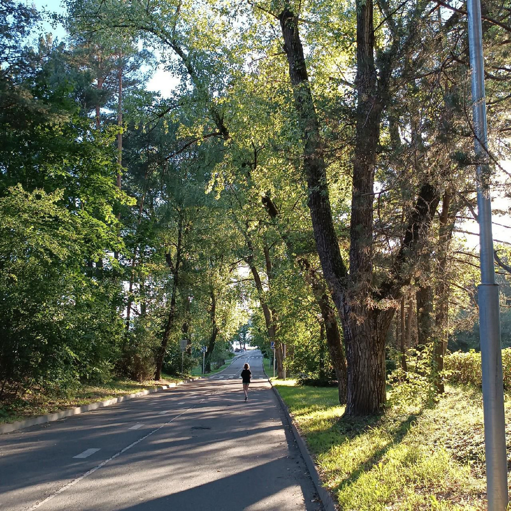 Larysa Sivitskaya Biotechnologist Genomed Health Care Centre XING