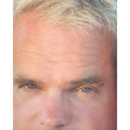 Frank Laue
