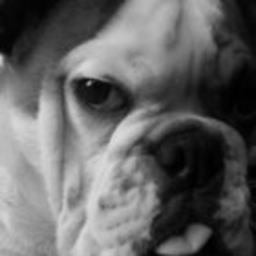 Isabella Pischinger's profile picture