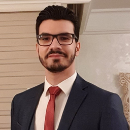 mehdi feki