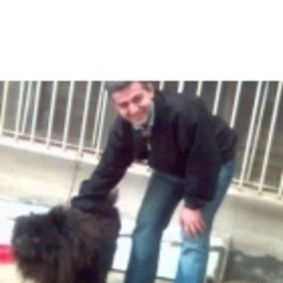 Gulec Faruk