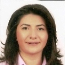 Elif Gökbulut