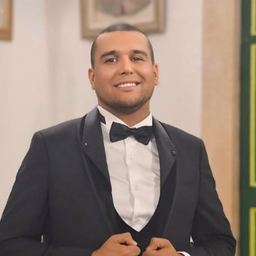 Walid Abidi