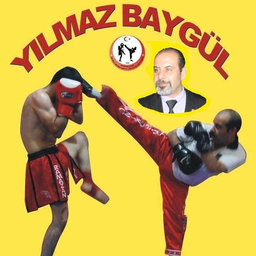 Yılmaz Baygül
