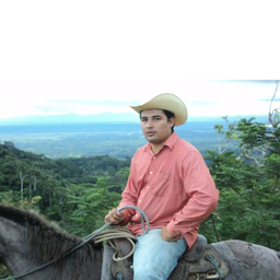 Gabriel Castillo
