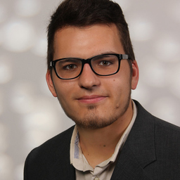Ing. Daniel Emmert
