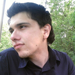 Timur Losev
