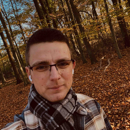 Jan-Dominik Menke's profile picture
