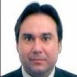David Luis Fernández Bravo
