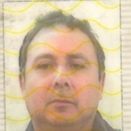 RICARDO SALAZAR