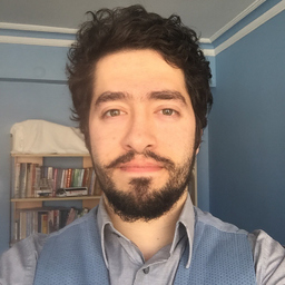 Hasan Yasin Turkyilmaz