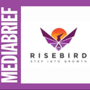 Rise Bird