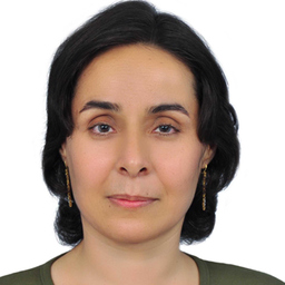 Fatemeh Mayvaneh