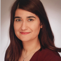 Mizgin Celik