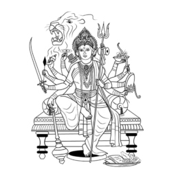 Bhavani shankar