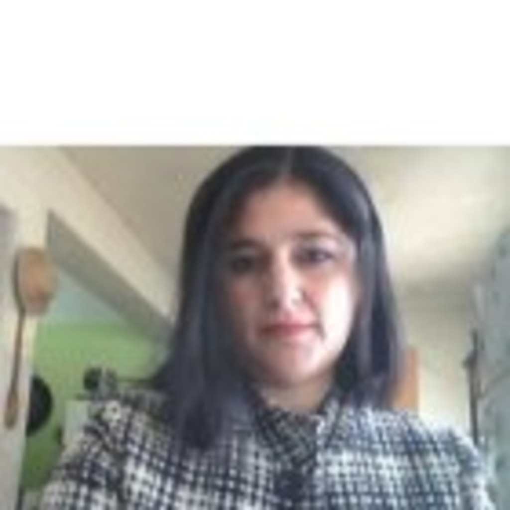 Beatriz Mauri gestora/mandatario GEFIN SA XING