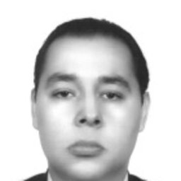 andrés almonasi lozano