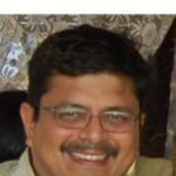 Michael Rocha