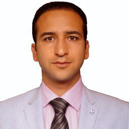 Seyed Amin Sadat