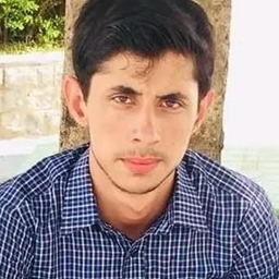Anees Mir