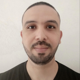 Laroussi Ghrissi