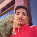 Hamza Oulgans