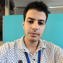 mostafa elghyati