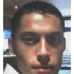 Enrique Alarcon Flores