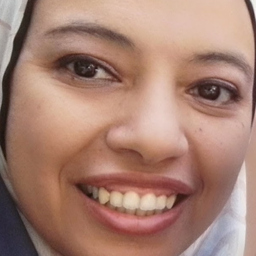 Ing. Hoda Abdalla