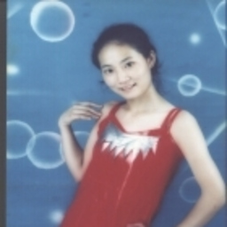 聪聪 秦