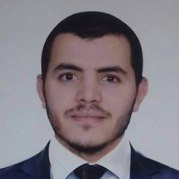 Mohamed Mohi