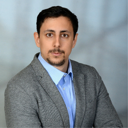 Dipl.-Ing. Sassan Farassati's profile picture