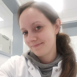 Katharina Sauer's profile picture