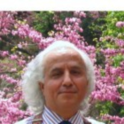 Hüseyin Emiroğlu