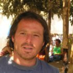 Gustavo Lerner