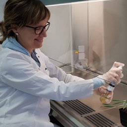 Dr. Theresa Kabakeris