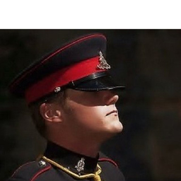 Jonathan Cook's profile picture