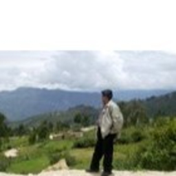 CARLOS GUTIERREZ NAVEDA