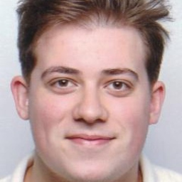 Fabio P. Fernandes