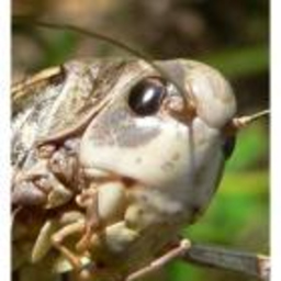 Grzegorz Bozek's profile picture
