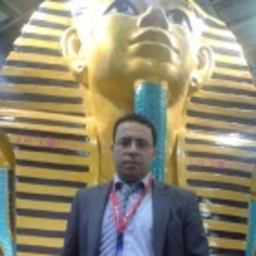Yasser Salem