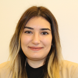 Aysegül Gülsen