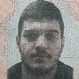 Nico-Todoriss Resmerita