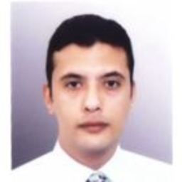 Ashraf A. Waheed