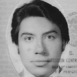 FERNANDO ROJAS