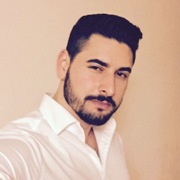 Haluk Bicici