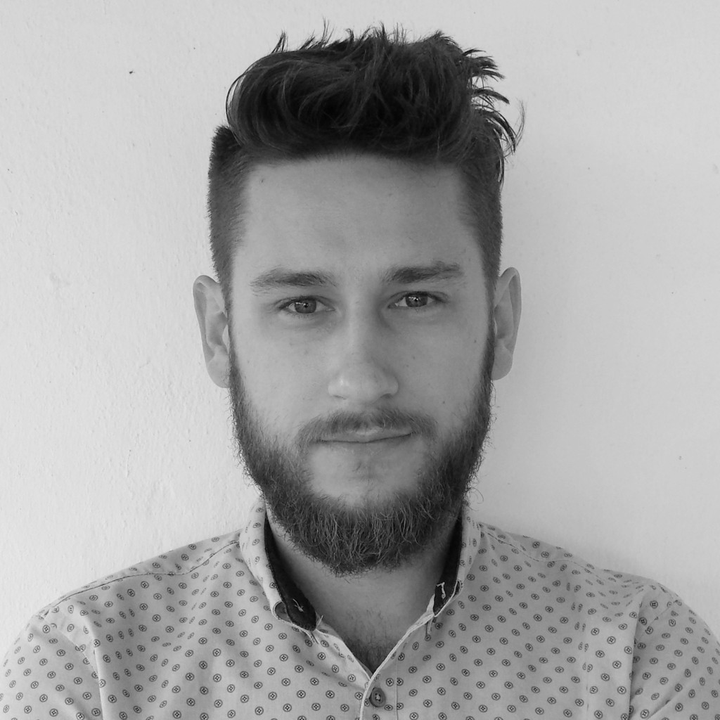 Davor Maric Analyst Zoi GmbH XING