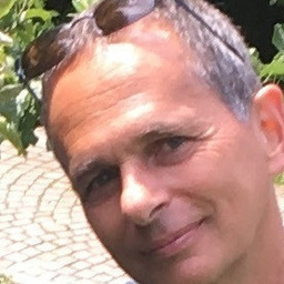 Dominik Hungerbühler