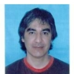 marcelo gabriel arce